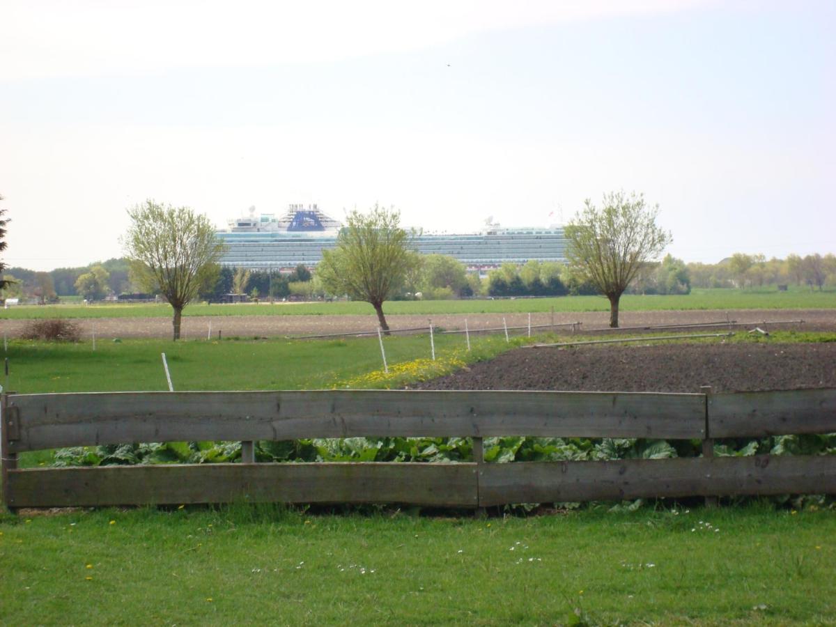 Boerenskuur De Bedstee Groen Assendelft Exterior foto